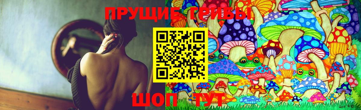 Галлюциногенные грибы мицелий Петрозаводск
