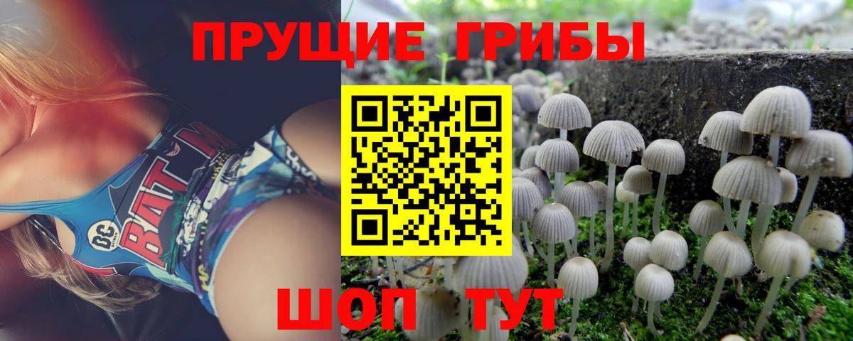 Канабис  Петрозаводск  Вход с VPN  КОКАИН  Alpha-PVP СК   Меф   Гашиш  НБОМе 